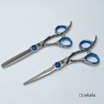 ست قیچی آرایشگری صیام فینی مدل A-B60-22 قدرتی 6 اینچ نقره ای تم آبی
